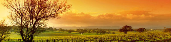 franciacorta