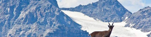 parco-stelvio