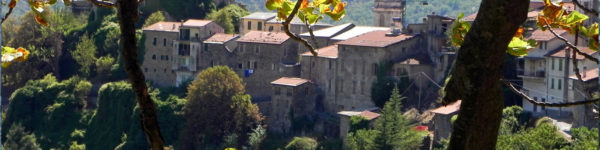 triora-blog