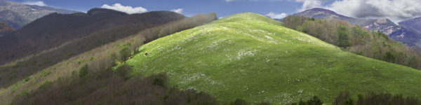 parco-appennino-lucano