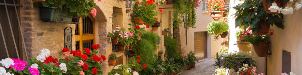 spello-blog