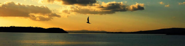 trasimeno