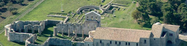 venosa-blog