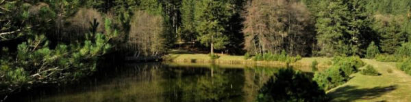 parco-nazionale-della-sila
