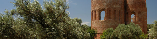 scolacium-blog