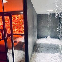 Hotel Lemi